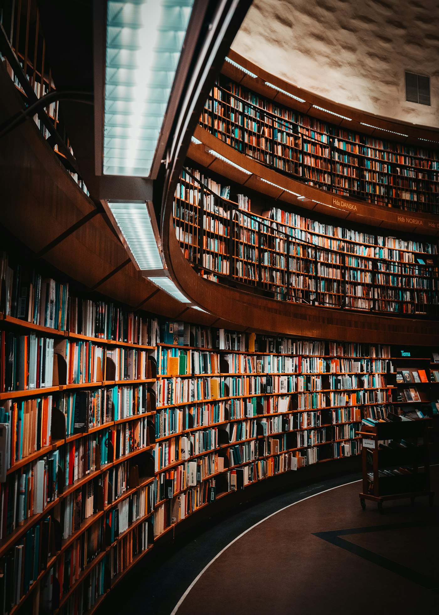 Bibliothek mit geschwungenen Bücherregalen